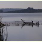 Stille am See