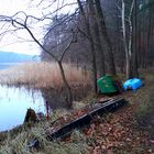 Stille am See