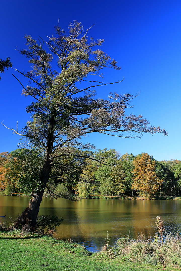 "Stille am See"