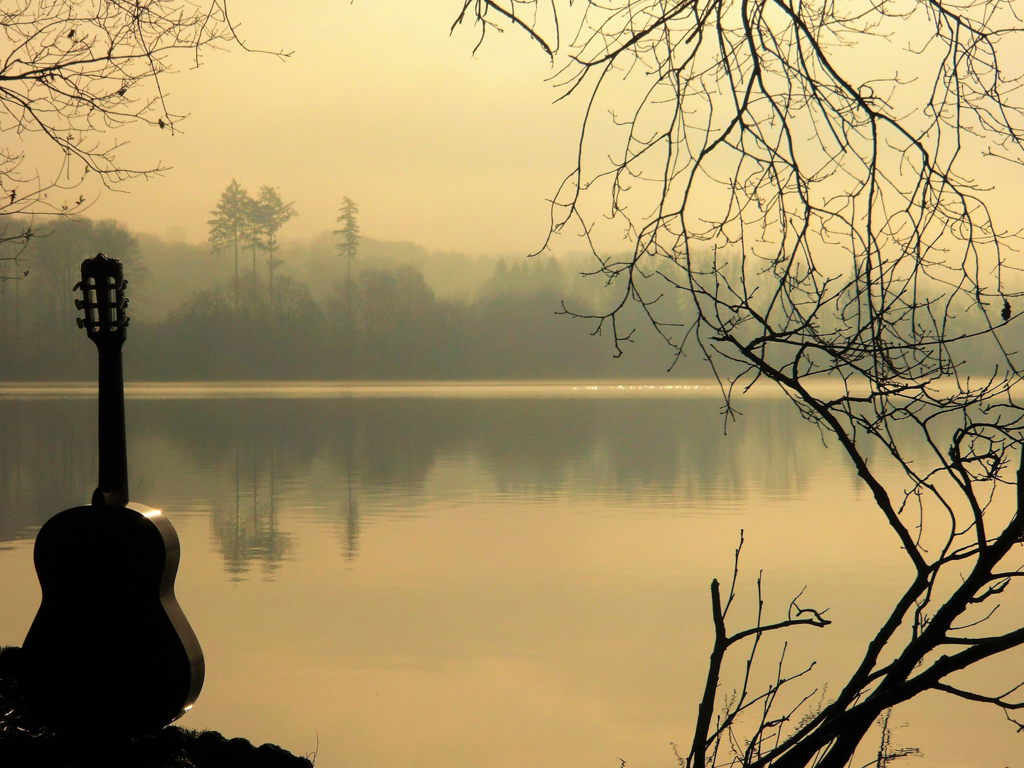 Stille am See