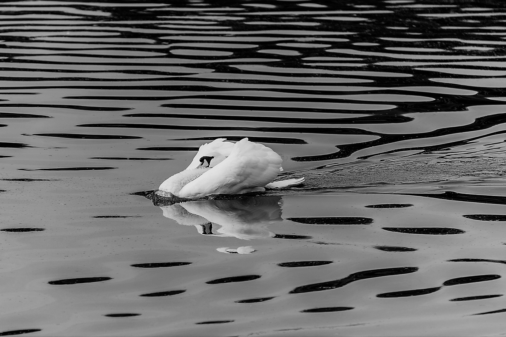 Stille am See