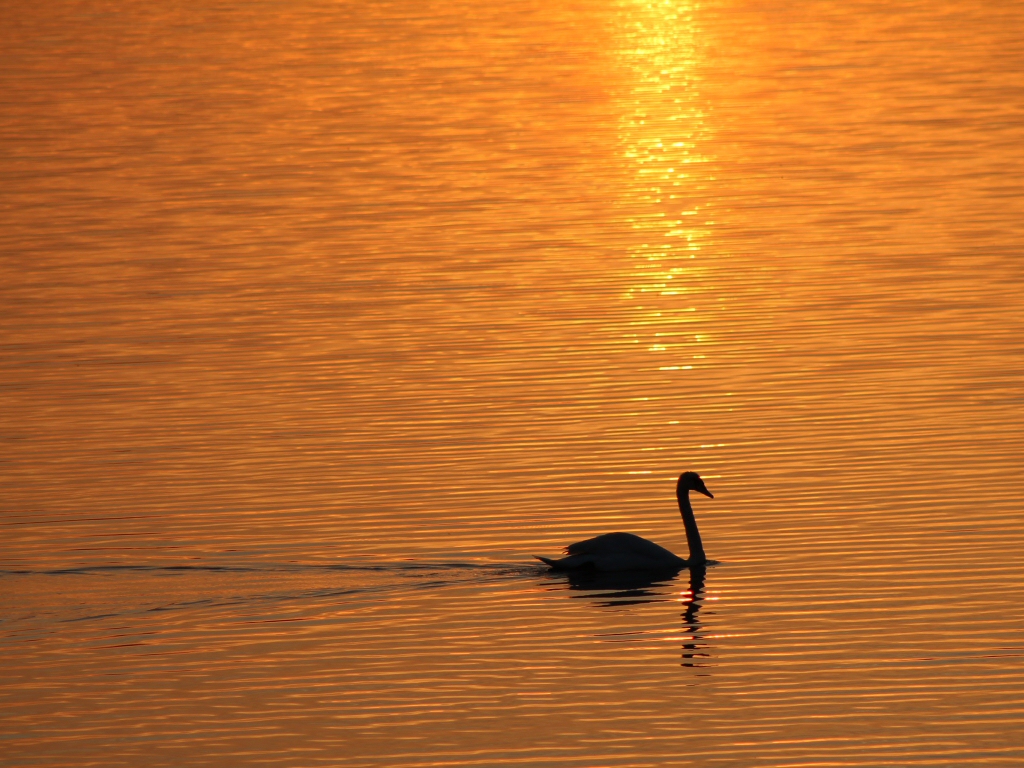 Stille am See