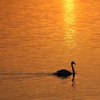 Stille am See