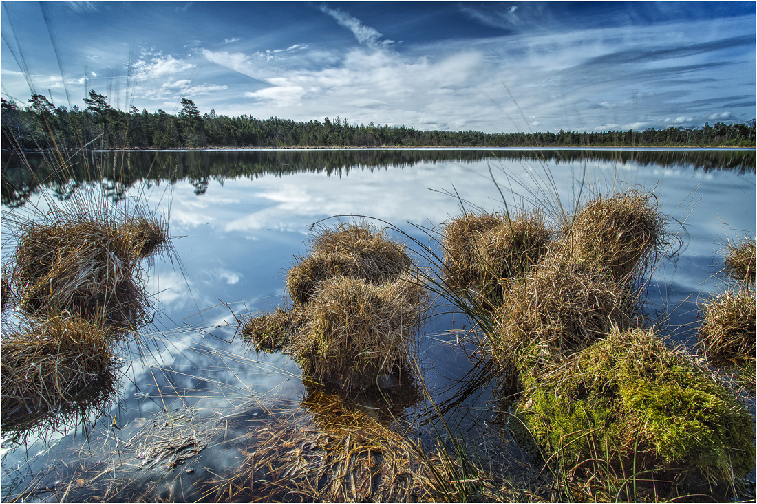 Stille am See