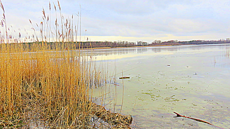 Stille am See