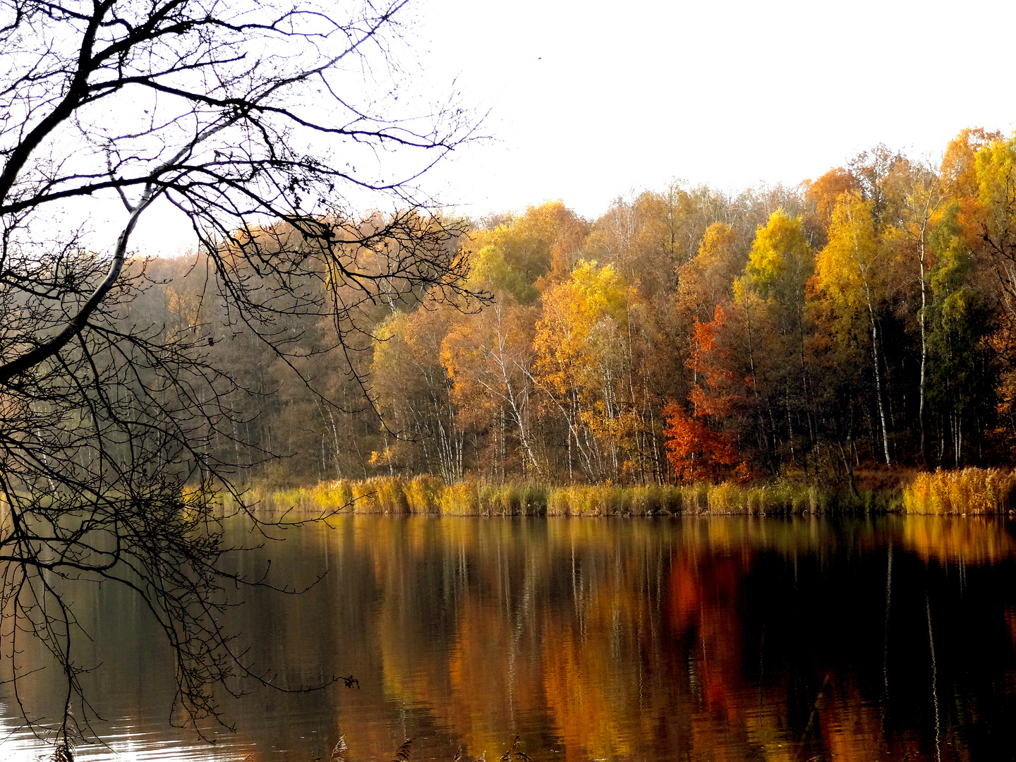 Stille am See, der Herbst färbt die Bäume