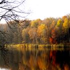 Stille am See, der Herbst färbt die Bäume