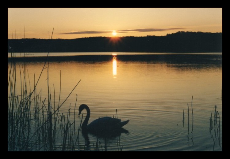 Stille am See