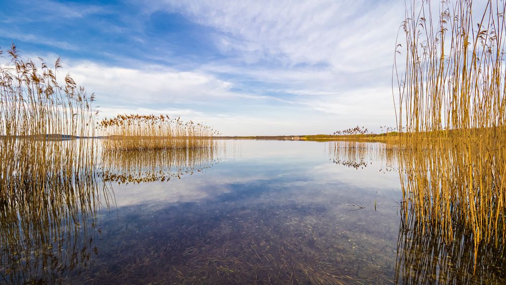 Stille am See