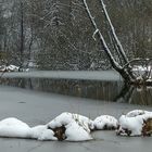 Stille am See