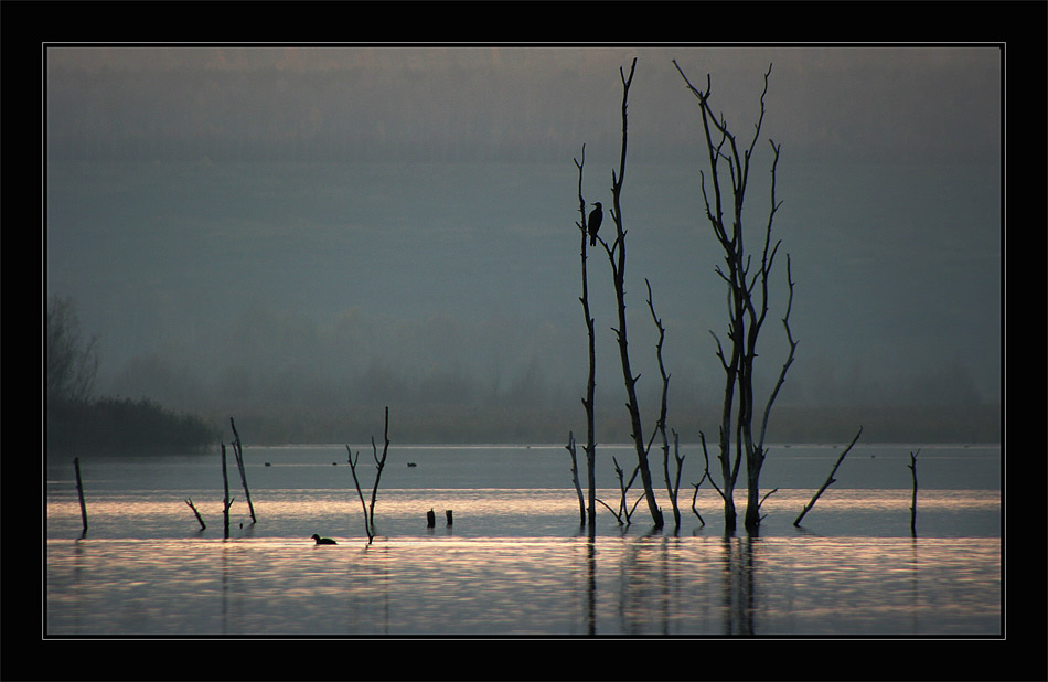 Stille am See