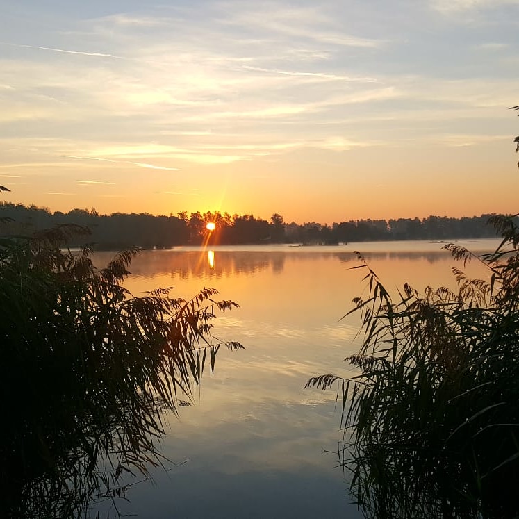 Stille am See