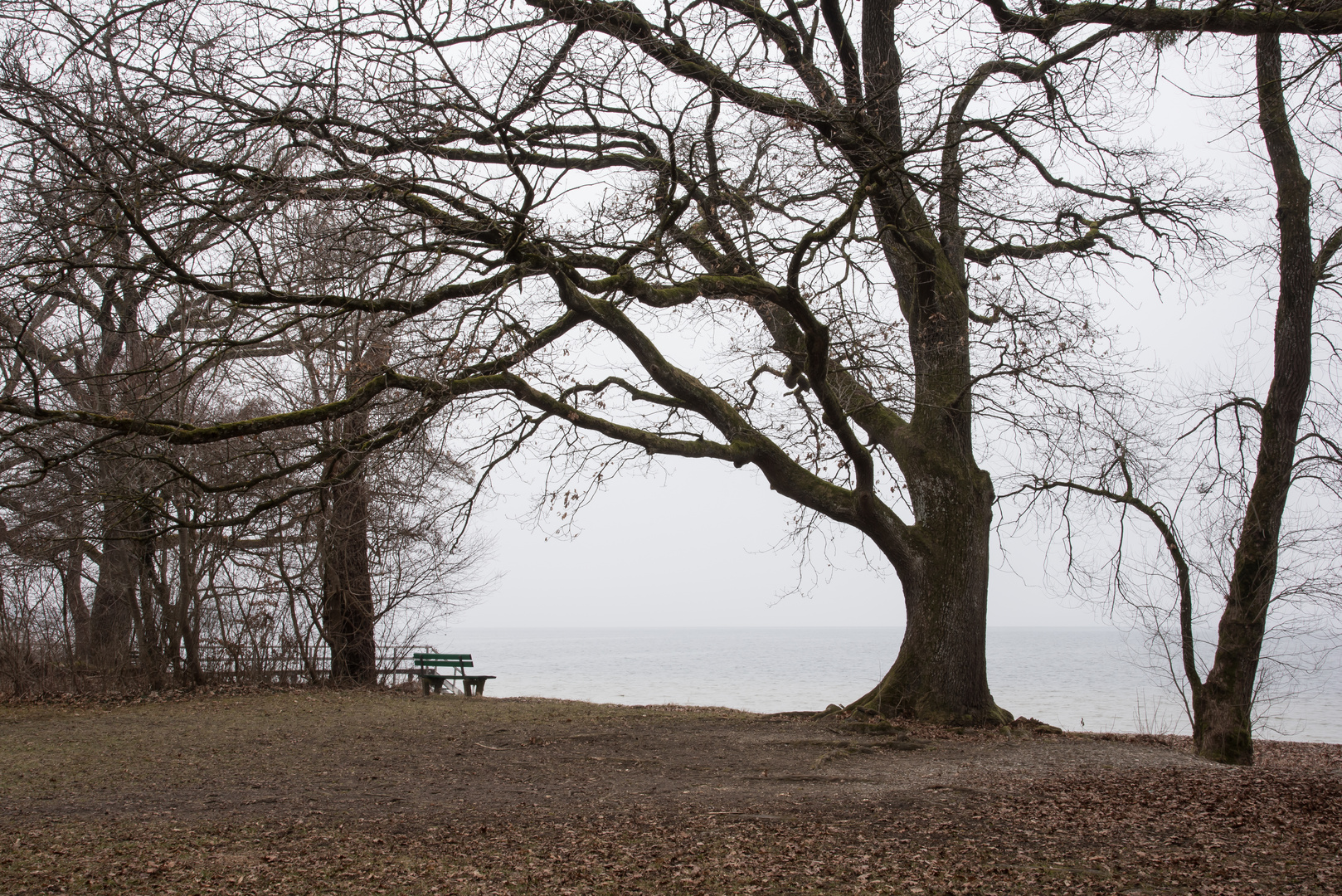 Stille am See