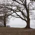 Stille am See