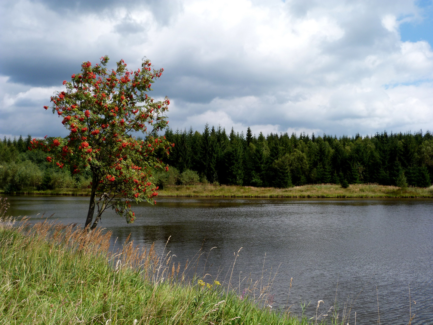 Stille am See