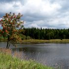 Stille am See