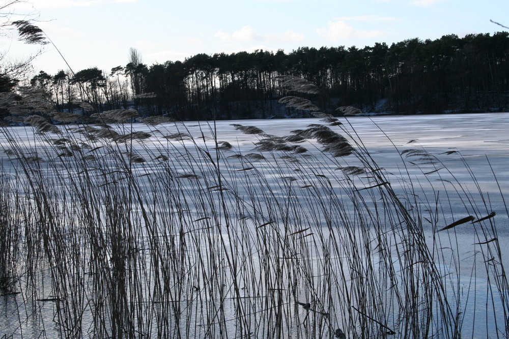 Stille am See