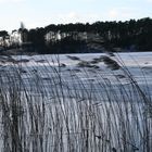 Stille am See