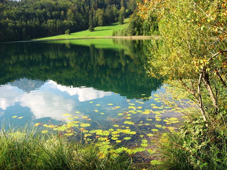 Stille am See