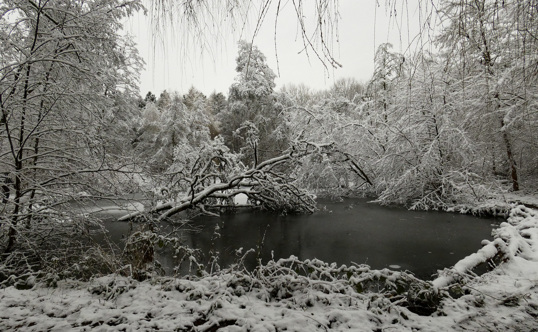 Stille am See