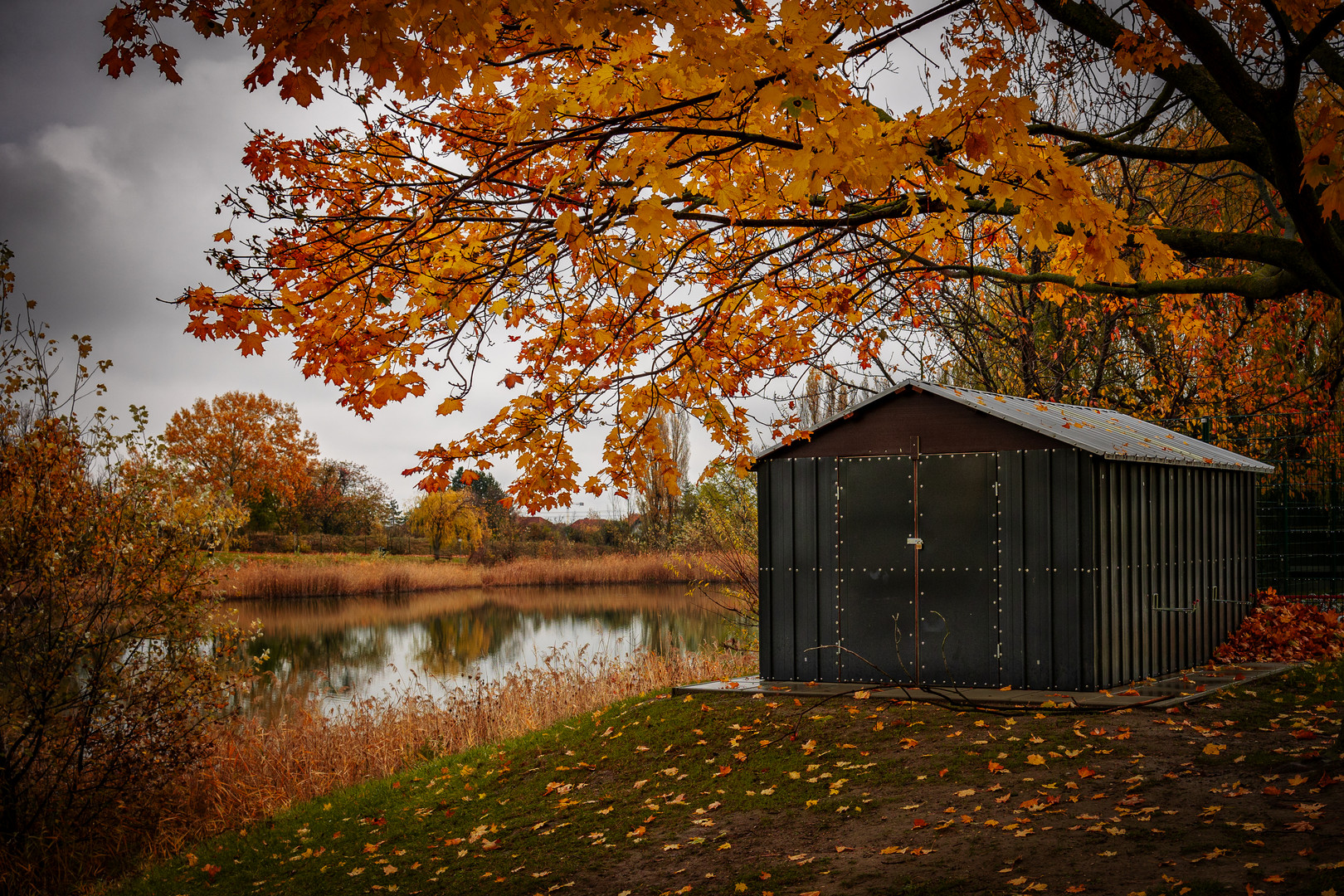 Stille am See II