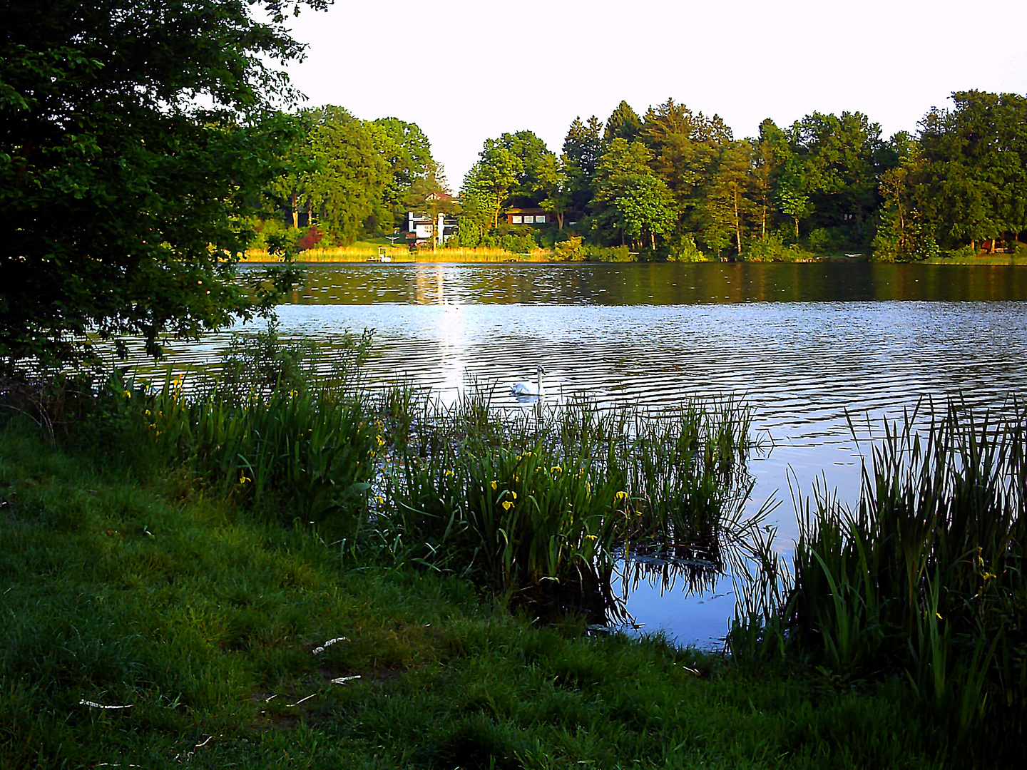 Stille am See in Leezen