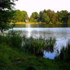 Stille am See in Leezen