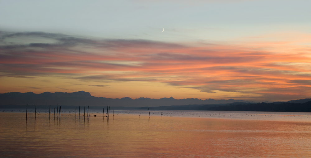 Stille am Starnberger See