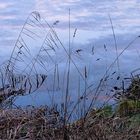 Stille am Sterenbachsee -Sonnenuntergang.