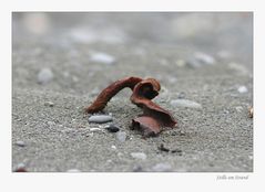 Stille am Strand