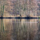 Stille am Teich