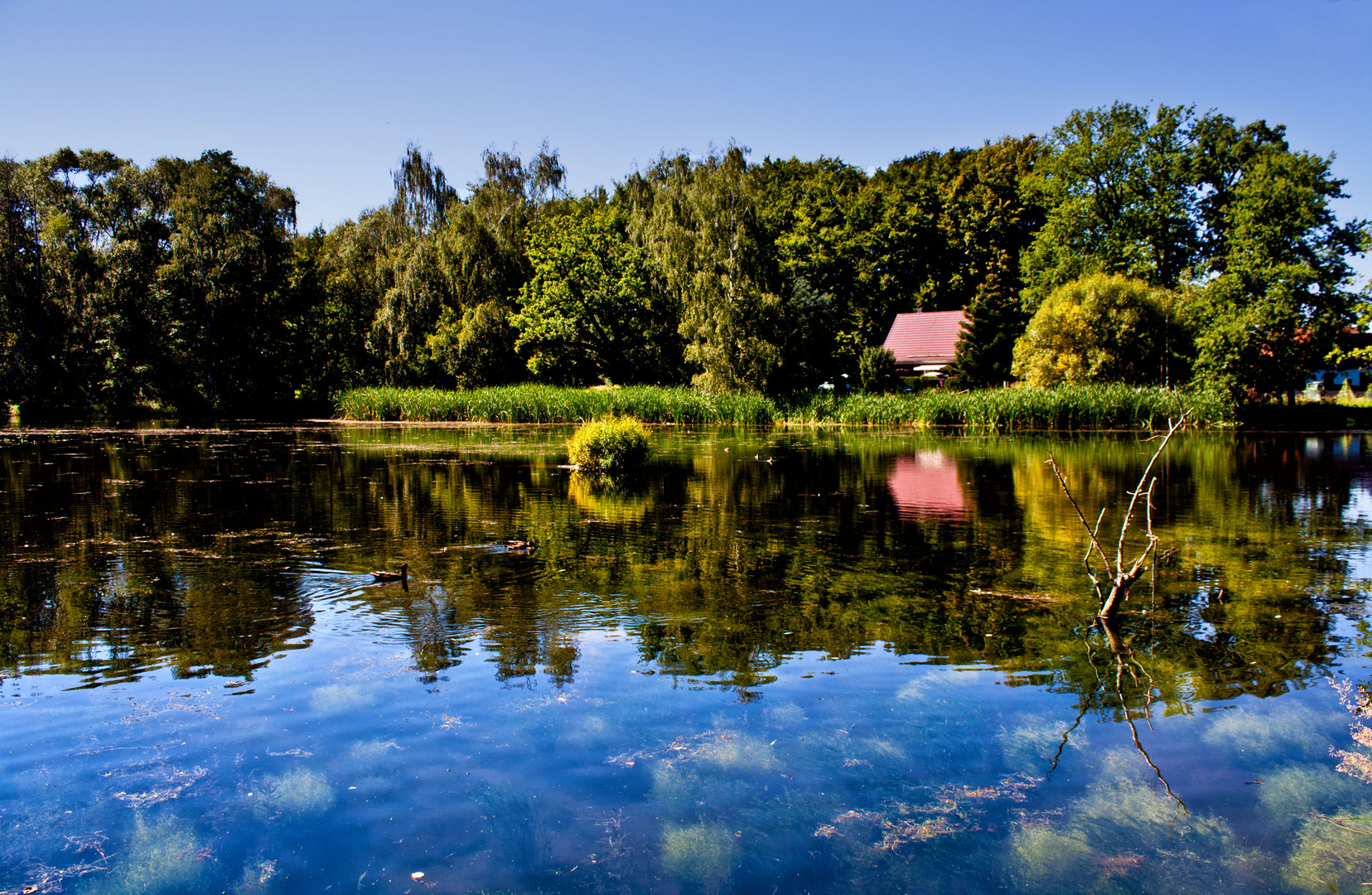 stille am teich