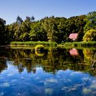 stille am teich