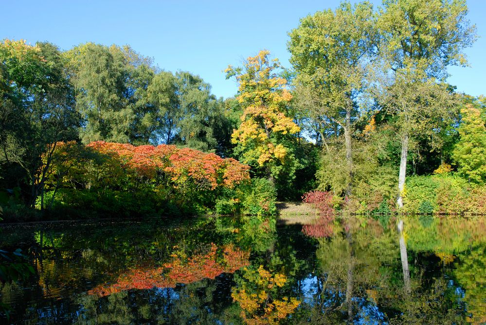 Stille am Teich , Foto & Bild jahreszeiten, herbst, natur Bilder auf
