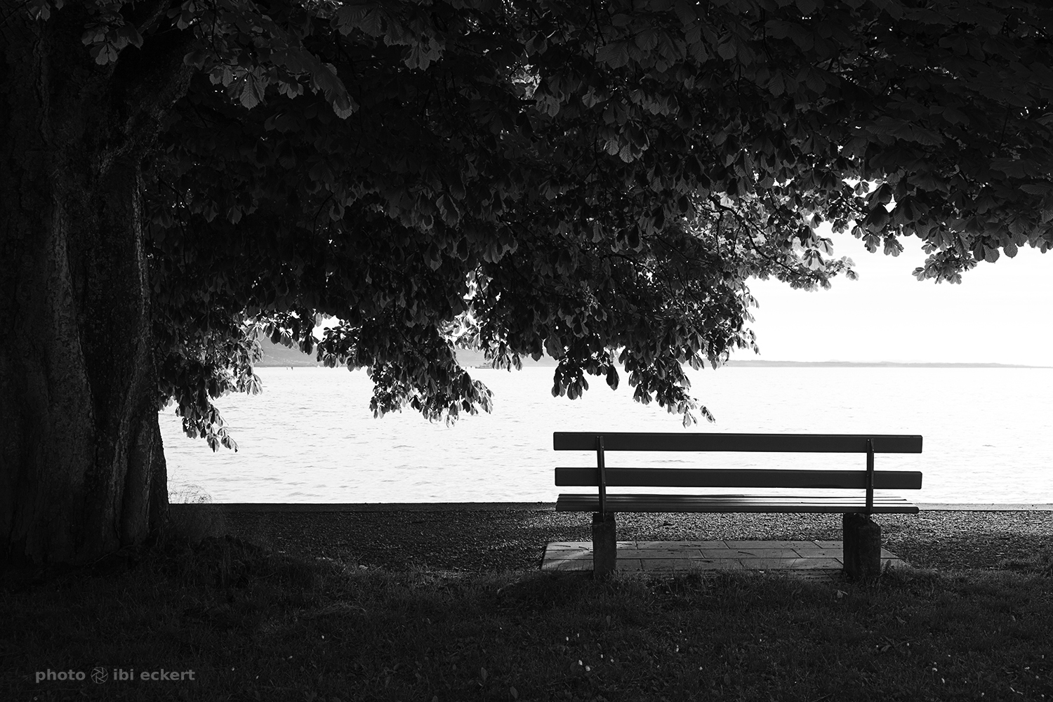 Stille am Ufer der Träume