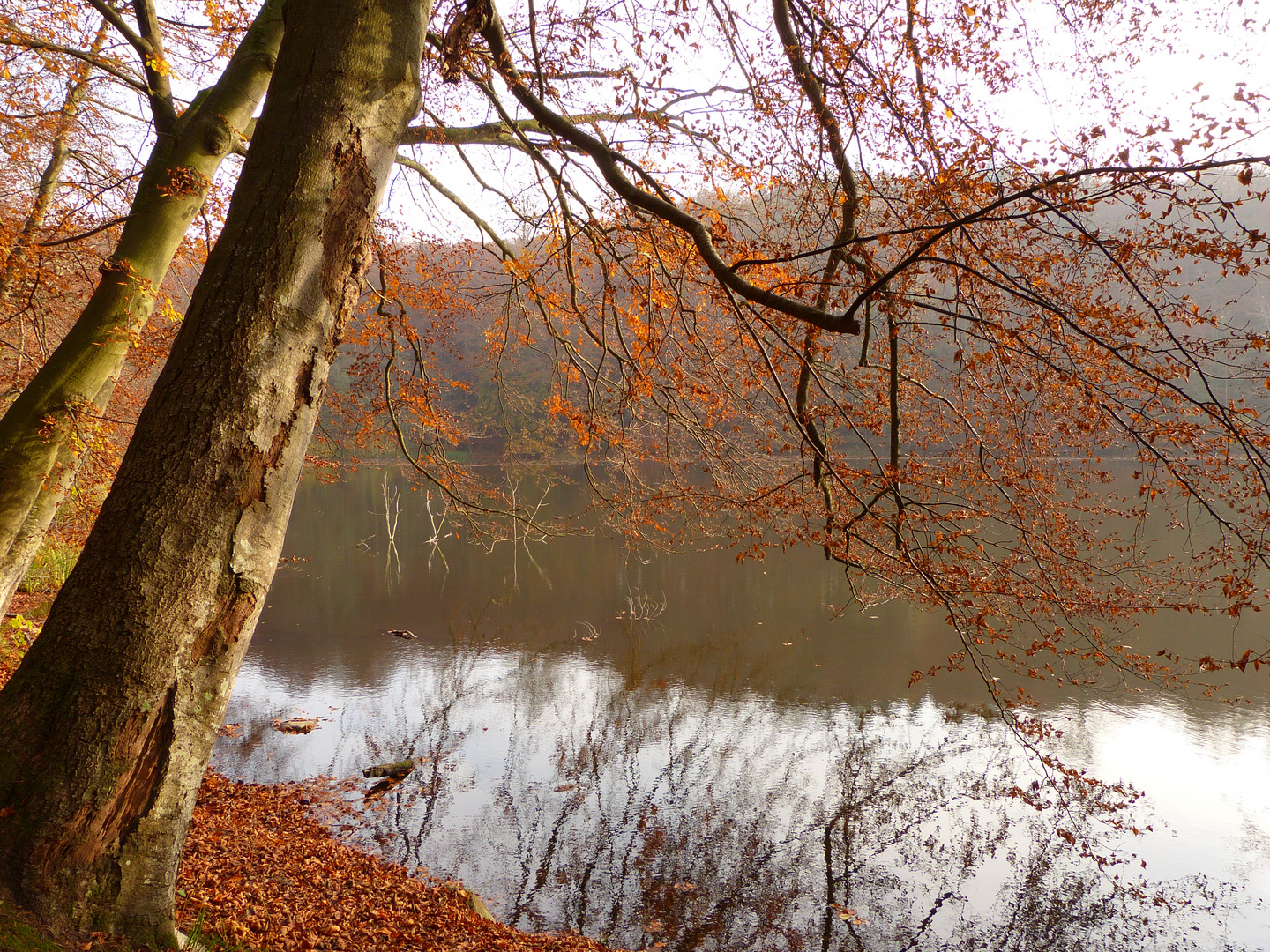 Stille am Ukleisee