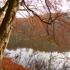 Stille am Ukleisee