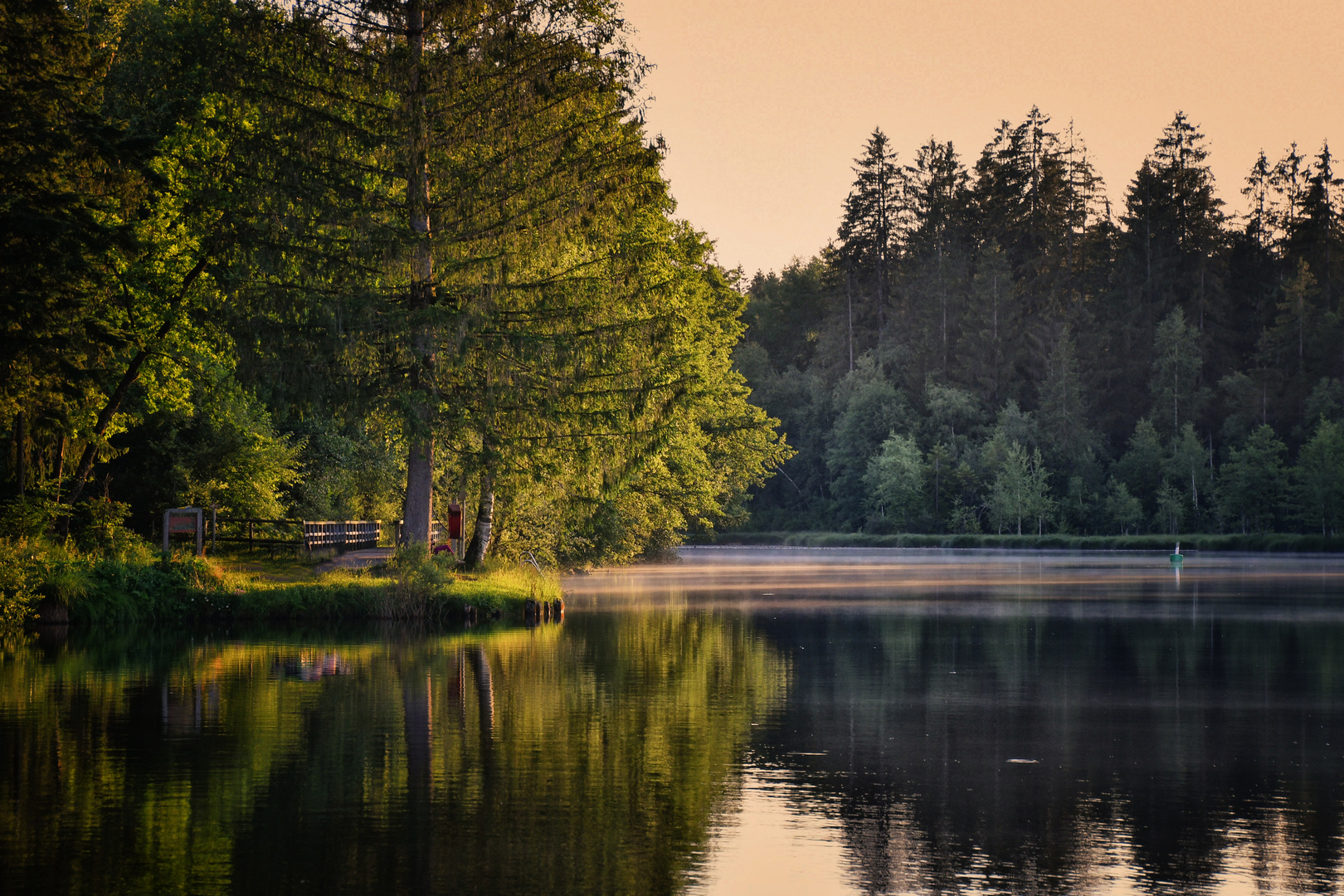 Stille am Waldsee