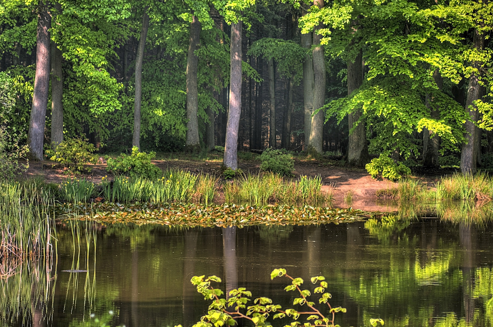 Stille am Wasser