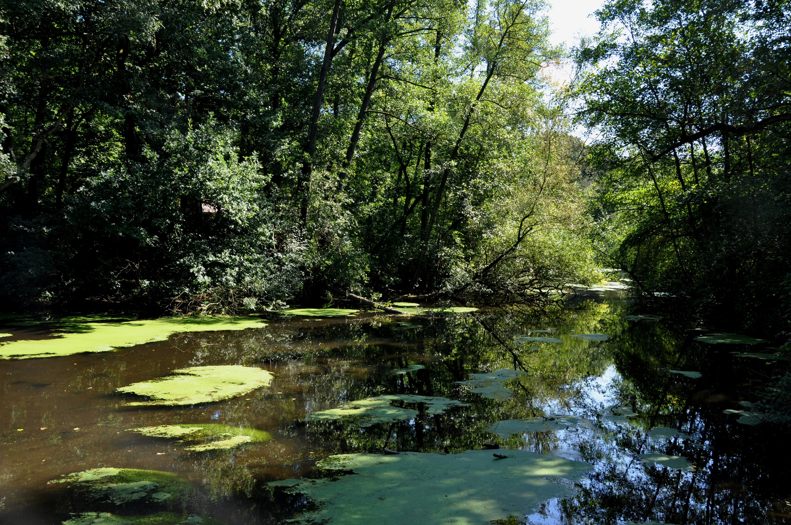 Stille am Weiher