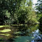 Stille am Weiher