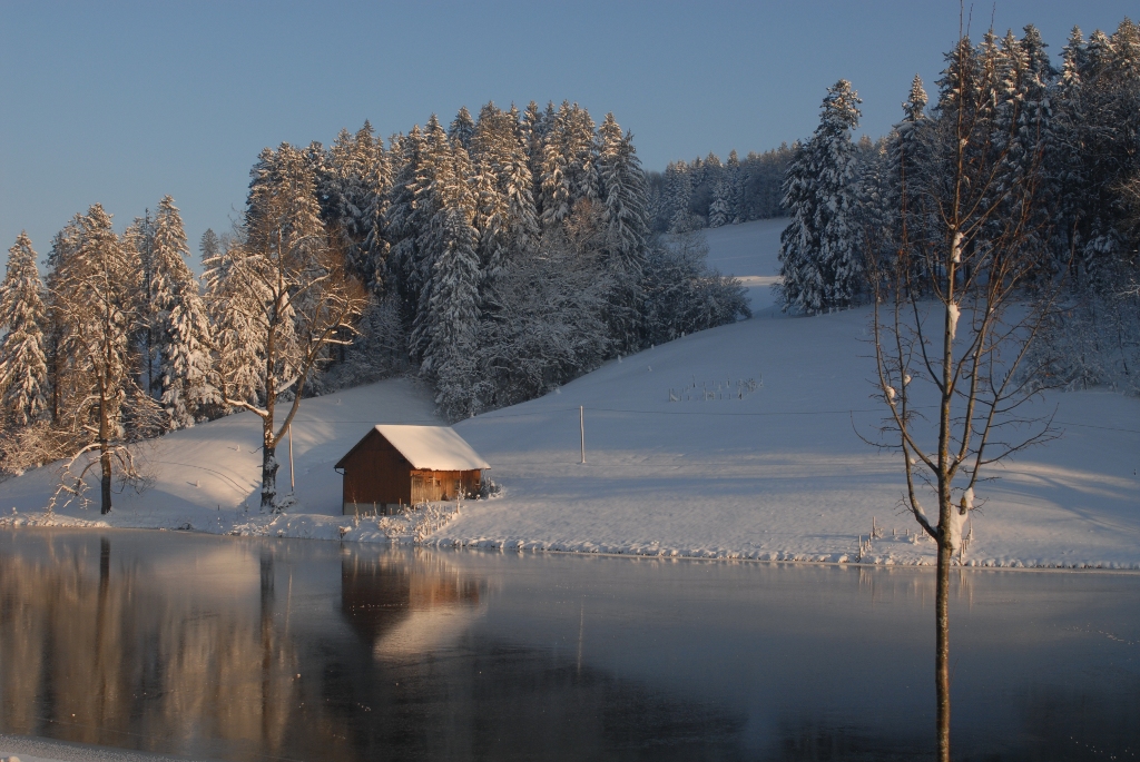 Stille am Weiher