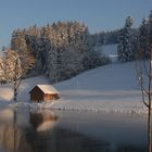 Stille am Weiher