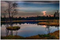 Stille am Wildsee