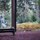 Stille - an der Talsperre im Herbst