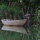 Stille an einem Nebenarm des Mekong