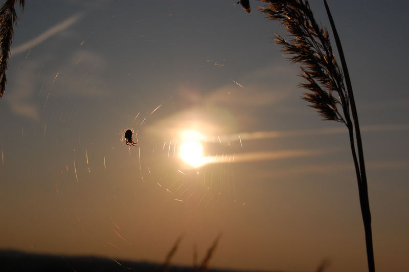 Stille auf dem Hang