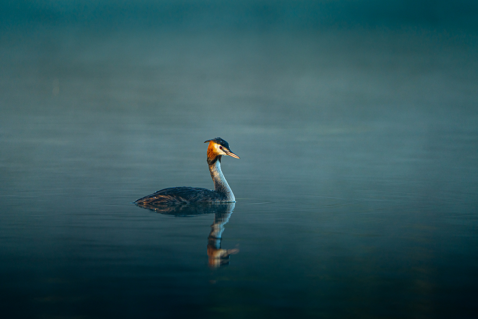 Stille auf dem See