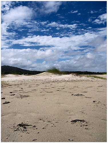 Stille, ausser das Rauschen des Windes!!!