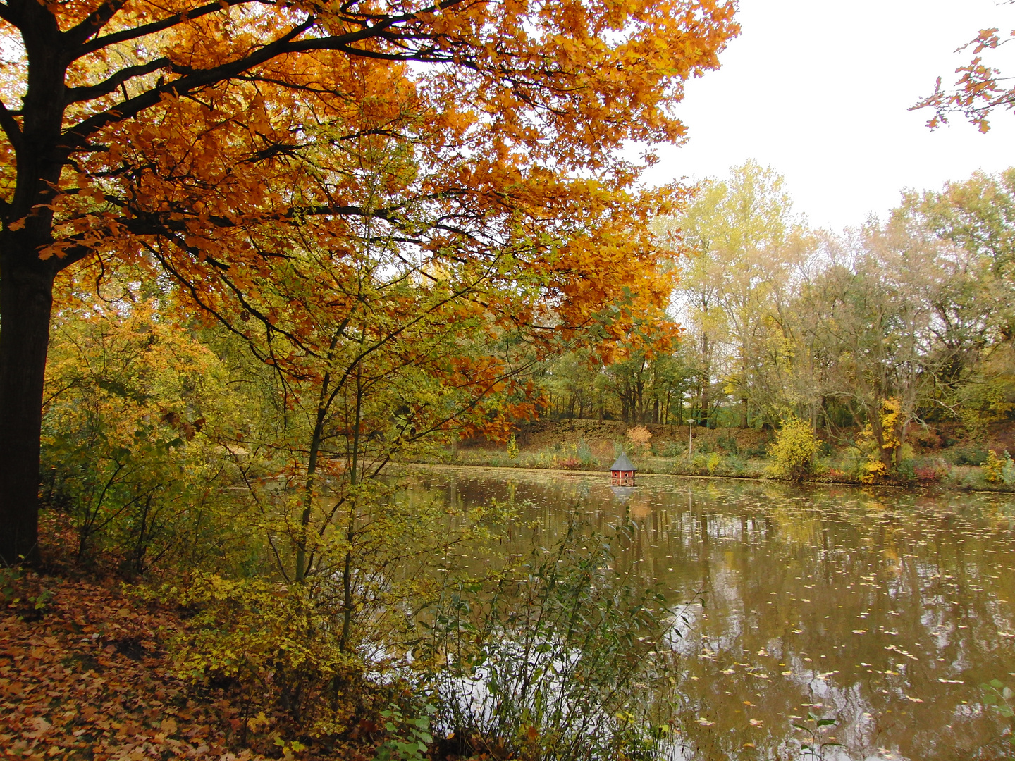 Stille, Bäume und Wasser im Herbst